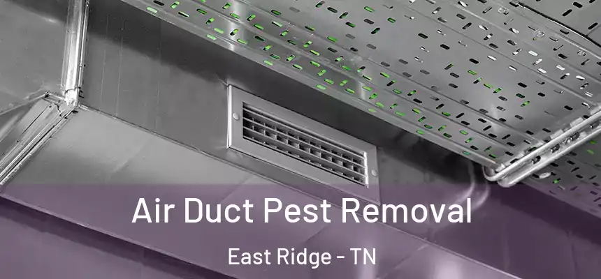  Air Duct Pest Removal East Ridge - TN