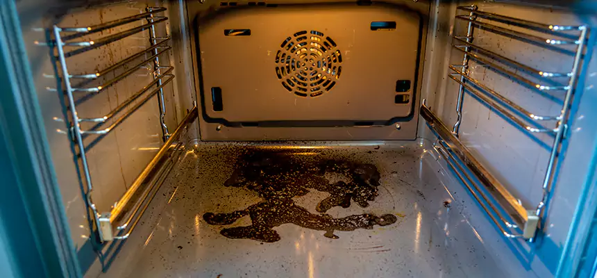 Our Dryer Vent Mold Cleaning Services in East Ridge, TN