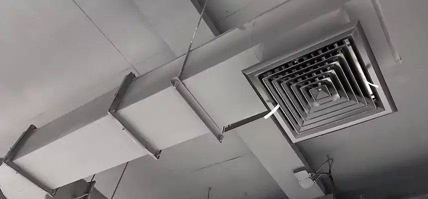 Our Pest Removal From Ducts Services in East Ridge, TN