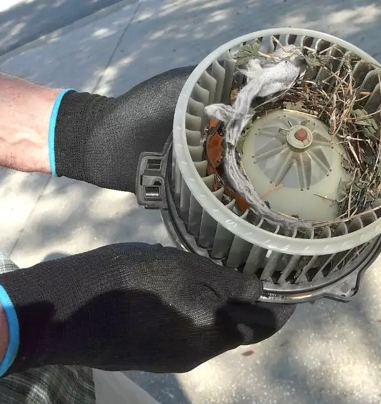 About Air Duct Mice Removal in East Ridge, TN