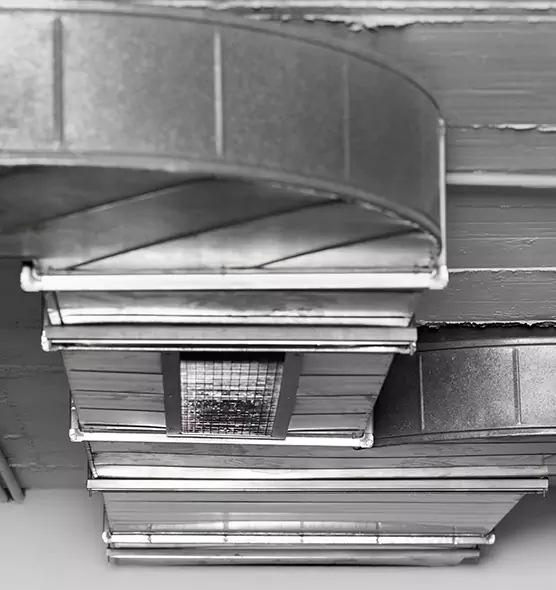 Professional Air Duct Pest Removal in East Ridge, TN