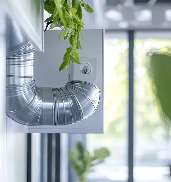 Professional Eco-Safe Dryer Vent Cleaning in East Ridge, TN