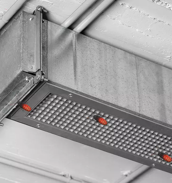 Affordable Insect Removal from Air Ducts in East Ridge, TN