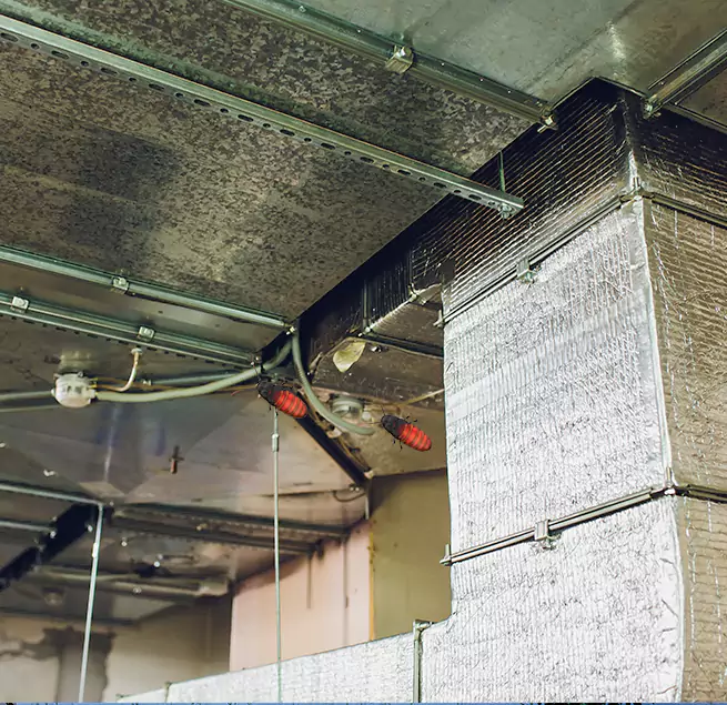 Why Homeowners & Businesses Trust Us in East Ridge, TN?