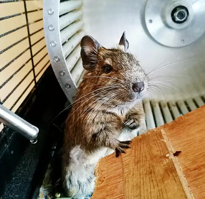 Why Homeowners & Businesses Trust Us East Ridge, TN